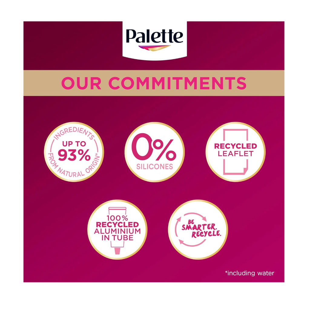 Palette Deluxe 1-0 Deep Black Hair Dye