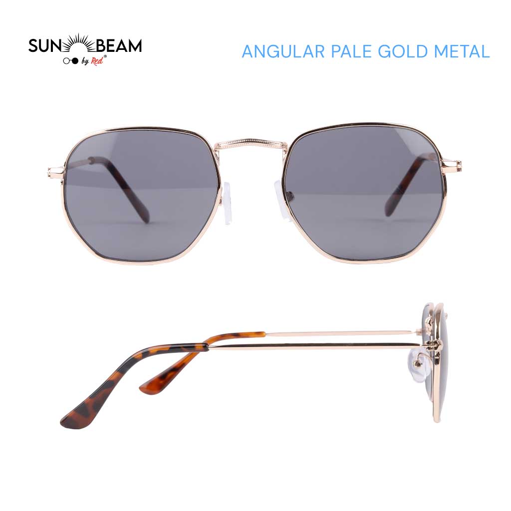 Clip Strip of Mens Sunglasses with Protective Pouches