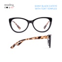 Reading Glasses Display Box Pack 