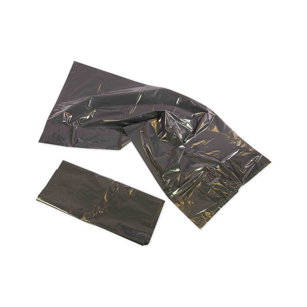 Black Sack 18x29x39 140g Pegasus